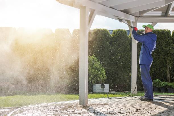 Best Sidewalk and Walkway Cleaning  in Elysburg, PA